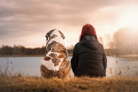 a girl and her pet dog sitting on the river bank